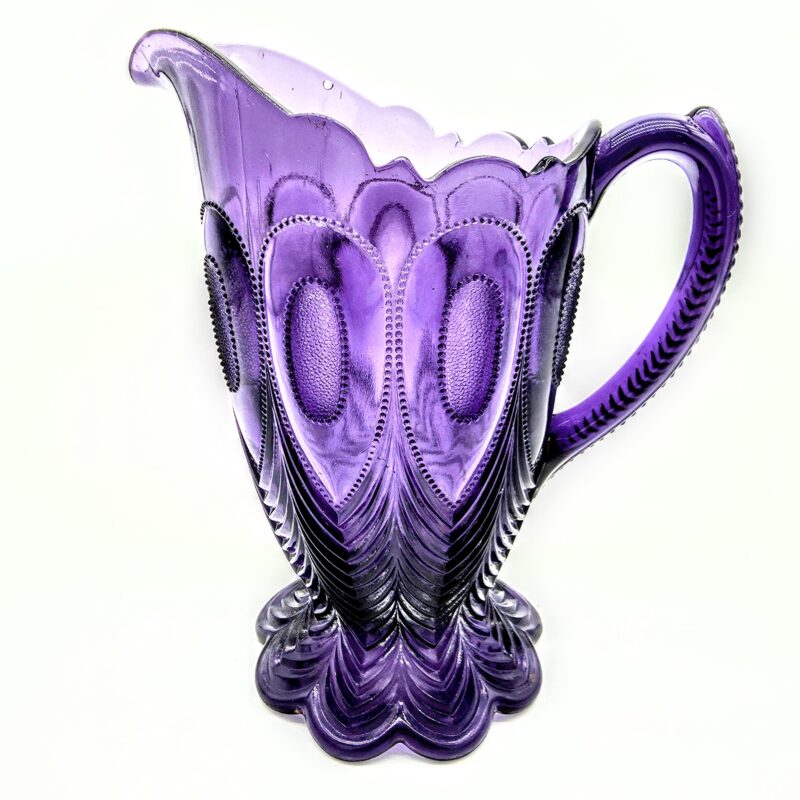 Purple Pitcher